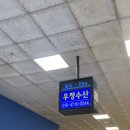 우정회관 | 노량진 수산시장 우정수산 내돈내산, 노량진 대하 구이, 초장집 수산회관 후기
