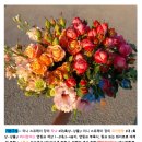 그저 꽃이 좋아서.. (#1. 내가 좋아하는 판매자 : 농라 꽃드림팜팜)