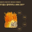 코디셉스팜