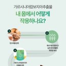 [내몸가벼움 다이어트 환] 가르시니아 차전자피 식이섬유로 변비에 좋은 식품 추천 후기예요.
