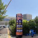 청춘회 물회 | [대구 각산동] 혁신도시 오징어물회 맛집 "청춘회물회"