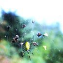 공룡박물관야외화장실 이미지