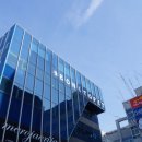 보니또펫 이미지