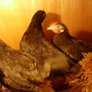 절골농장 이미지