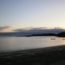 플로라펜션 이미지