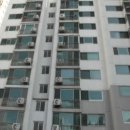 양덕동602 이미지