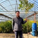 일심2로 R 이미지