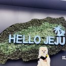 퍼시픽렌터카㈜제주영업소 | [반려견동반 제주 렌터카 / 퍼시픽렌터카, 돌하루팡] 강아지동반 렌트카 대여 및 반납 내돈내산 솔직후기