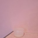 안경매니져둔산점 | [대전] 대전태닝샵 대전화이트태닝 몰디브태닝샵 둔산점