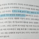 성주고을작은도서관 이미지