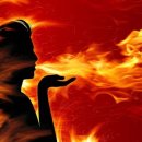 the 열정 이미지