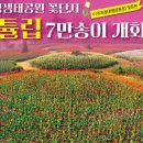 도시철도 화명역 5번 출구 이미지