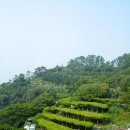 외도조경식물원 이미지