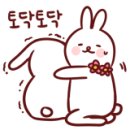 두부네 펫살롱 이미지