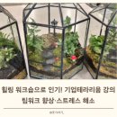나만의세상 테라리움 만들기 이미지