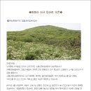 곰배령산장 이미지