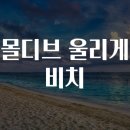 몰디브 - 김해시 삼안로195번길 38 | 몰디브