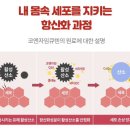 메디케어약국 이미지