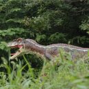 데이노니쿠스 이미지