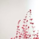 사진촬영강좌 이미지