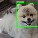 미동농장 이미지