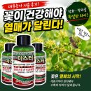 믿음농가 | 대추농가에서 보내주신 중앙마스터 후기