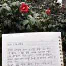 1924서까래 이미지