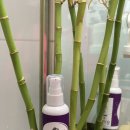 비케이커뮤니케이션즈 이미지