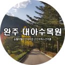 [완주가볼만한곳]대아수목원으로 단풍놀이 가보실까요?
