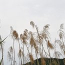 도속지낚시터 이미지