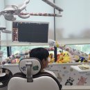 슈어치과교정과치과병원 네이버블로그
