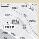 최명수농장 Daum카페