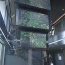 호우주의보(RAINREPORT) 이미지