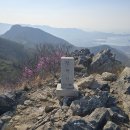 진해롯데마트옆시내버스정류장 | 진해 장복산 진달래, 벚꽃길