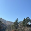 강원도 평창 월정사(오대산 전나무 숲길) 가을 여행 후기/아이와 가볼 만한 곳_20241103