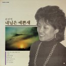 김신덕 [내님은 예쁜새] (1987) 이미지