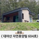 대야산자연휴양림 | 높은경쟁률 604호대야산 자연휴양림 직접 다녀온 리얼후기