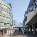 영등포 사진관 당산역 엘로그 스튜디오 프로필 촬영 후기