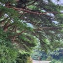 한산도 제승당 | 통영시 여행, 한산섬 달 밝은 달에, 이순신 장군의 역사적인 현장, &#34;제승당&#34;