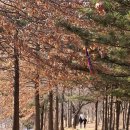 행주나루길 이미지