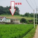 농가주택 ,전원주택 짓고 주말농장 용 으로 추천부지 이미지