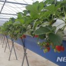 몽돌바다쉼터 이미지