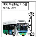 혹시 부천 88번 버스를 아시나요? 이미지