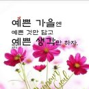 다봉 이미지