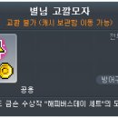 해피버스데이