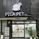 치악로 | [원주 애견셀프목욕] 강아지 목욕 맛집 '피카펫', 시설 좋고 쾌적한 방문 솔직 후기