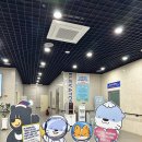 후인농장 | 11/3-11/9 신나는 운전배우기, 가을 잘 보내는 한 주