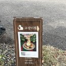 계양역 | 계양역 카페 고양이똥 내돈내산 후기