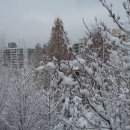서울 강남구 일원동 래미안 개포루체하임 아파트 겨울 이미지