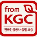 KGC라이프앤진 이미지